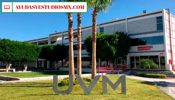 Programa de Becas UVM