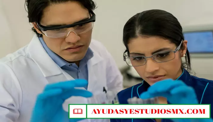 Convocatorias Beca Ciencia EDOMEX