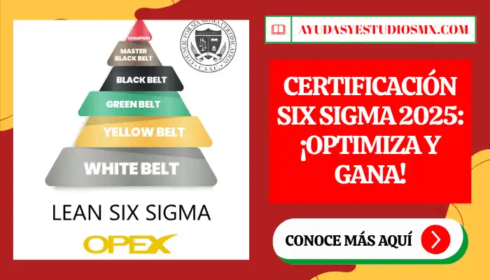 Certificación Six Sigma 2025: ¡Optimiza y gana!