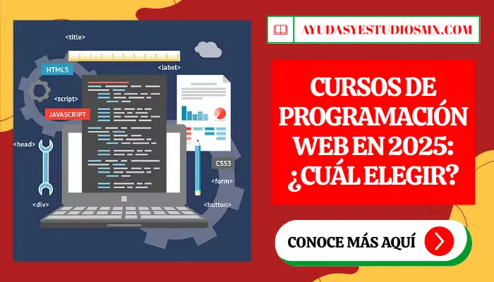Cursos de Programación Web en 2025: ¿Cuál elegir?