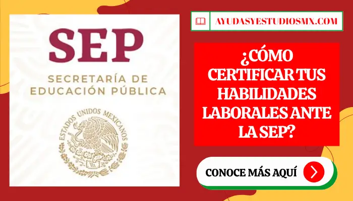 ¿Cómo certificar tus habilidades laborales ante la SEP?