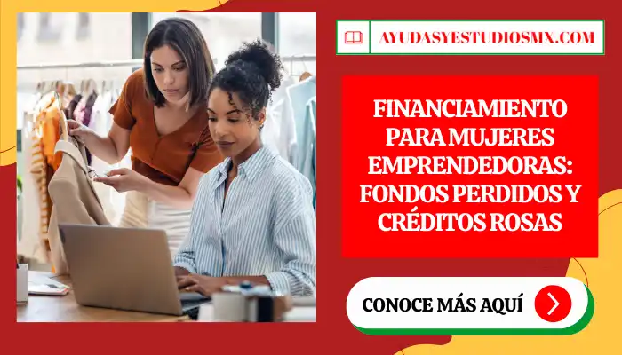 Financiamiento para mujeres emprendedoras: Fondos perdidos y créditos rosas