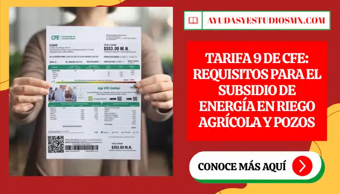 Tarifa 9 de CFE: Requisitos para el subsidio de energía en riego agrícola y pozos