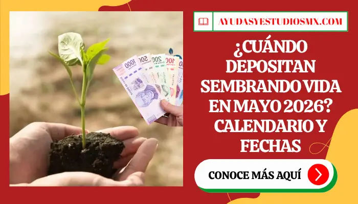 ¿Cuándo depositan Sembrando Vida en Mayo 2026? Calendario y Fechas