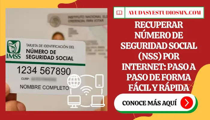 Recuperar Número de Seguridad Social (NSS) por Internet: Paso a Paso de forma fácil y rápida