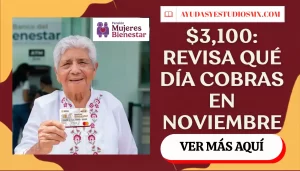 Pensión Mujeres Bienestar noviembre-diciembre 2026: calendario del 3 al 27 y cuándo cobras $3,100