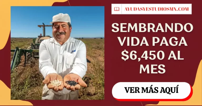 Sembrando Vida 2026: cuánto pagan, requisitos y cómo entrar al programa