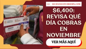 Pensión Bienestar noviembre-diciembre 2026: calendario oficial del 3 al 27 y cuándo cobras $6,400